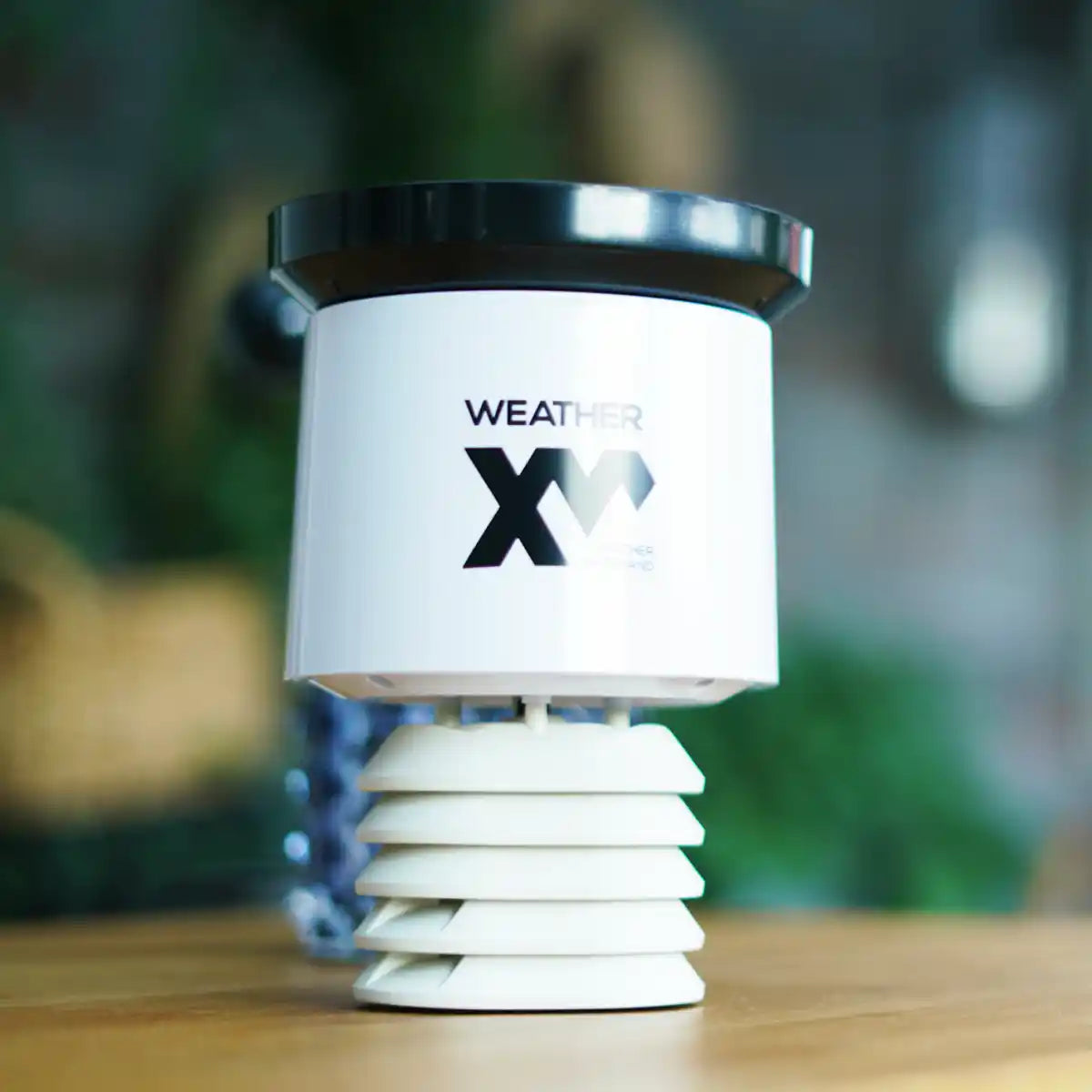 weatherxm